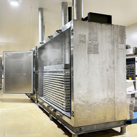 Industriële automatische fluidized bed vriezer en plaatvriezer voor snelvriezen van fruit, groenten en zeevruchten