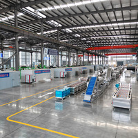 Fabrikant van roestvrijstalen elektrische verwarmingsmachines voor het drogen van groenten op een gaasband in China, en machines voor het drogen van palmbladresten.