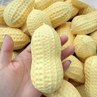 Mainan Squishy Kacang TPR Laris Manis, Mainan Remas Kacang Slow Rising, Hadiah Unik Pereda Stres untuk Anak-Anak