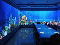 Pantalla de proyección Edge, sistema de Software de mezcla, proyección holográfica, dinámica, arte digital, virtual, interactivo