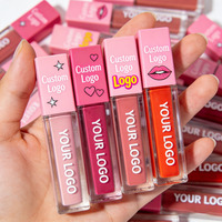 Gloss à lèvres vegan à faible MOQ, changeant de couleur, repulpant, transparent, rose clair, nude, gloss à lèvres en marque privée