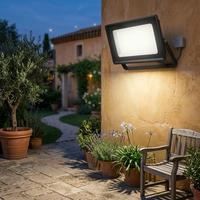 Projecteur LED extérieur étanche IP65 en aluminium moulé sous pression noir, de 10W à 300W, prix direct usine, pour jardin