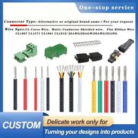 Harness Kabel Listrik Profesional Pabrik OEM ODM untuk Aplikasi Sepeda Motor dan Peralatan Rumah Tangga