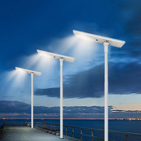 Lampadaires solaires IP65 pour poteaux électriques ruraux, modèle LYA, allumés toute la nuit grâce à la commande par capteur de lumière