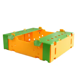 Embalaje de verduras Caja de plástico corrugado Cajas de embalaje de PP personalizadas para frutas y verduras