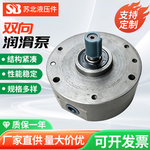 Bomba de Engranajes Reversible Hidráulica de Jiangsu del Norte, Acero Inoxidable 316, 50 Lpm, Bomba de Lubricación Rotativa Eléctrica - Product Image 2