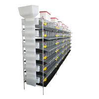 Poulailler de type H de grande capacité en acier galvanisé pour cailles pondeuses avec système de ramassage automatique du fumier et structure en grillage durable