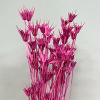 Meerkleurige eeuwigdurende decoratieve Nigella steranijs bloemenboeket handgemaakt, langdurig (3-5 jaar), passend bij Moederdag