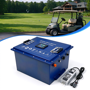 Batterie Lifepo4 sur mesure pour voiturette de golf avec BMS intégré, protection de sécurité complète, 100Ah 200Ah, solution de rétrofit pour voiturette de golf - Product Image 1