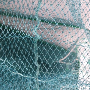 Design con Ampia Apertura per Facilitare la Cattura delle Prede, Perfetto per Trappole per Gamberetti e Granchi Blu - Product Image 5