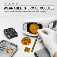 Film chauffant en polyimide, feuille chauffante en PI, plaque chauffante électrique à chaleur uniforme personnalisée pour module de batterie, précharge et décharge, OEM