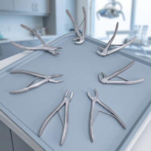 Forceps d'extraction dentaire pour animaux de compagnie en acier inoxydable, forceps dentaires vétérinaires manuels pour clinique vétérinaire pour chats et chiens - Product Image 4