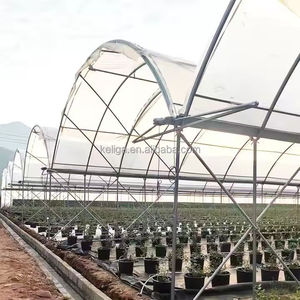 Invernadero Inteligente de Plástico Automatizado Multiusos para Agricultura Moderna, para Cultivo de Arándanos y Siembra de Tomates - Product Image 2
