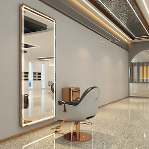 LED Hair Salon <b>Mirror</b> Wall Mounted <b>Makeup</b> Vanity <b>Mirror</b> Stainless Steel Frame Beauty Studio Furniture - Product Image 1
