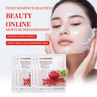 Masque Visage en Tissu Hydratant à la Vitamine C Source Directe Fabricant, Éclaircissant et Séborégulateur, Soin pour la Peau aux Extraits de Fruits pour le Visage