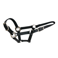 Produits équins de haute qualité conception personnalisée accessoires pour chevaux matériel collier de tête de cheval licou de cheval en nylon