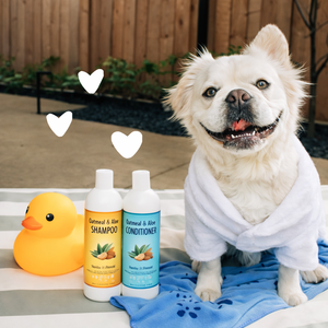 Champú y Acondicionador para Perros con Avena OEM |   Champú para Mascotas con Aloe Vera para Piel Seca y con Picazón |   Fabricante de Fórmulas Personalizadas - Product Image 3