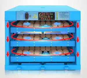 계란 인큐베이터 계란 부화 기계 인큐베이터 닭 계란 100 계란 태양 닭 인큐베이터 Incabator 닭