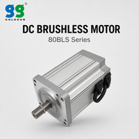 Moteur BLDC GOLDGUN 310V 900W 3000RPM 2.86N.m 80mm personnalisé, industriel, à faible bruit, pour convoyeur de manutention direct