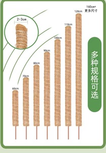 Soporte de 160 cm para plantas trepadoras, moldeable, para modelar, soporte de jardinería para Monstera y otras plantas, palo de coco deformable - Product Image 2