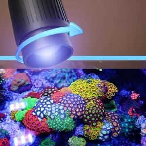 Kristalhelder <span class=keywords><strong>Nano</strong></span>-<span class=keywords><strong>Aquarium</strong></span>, Ijzeren Glazen Zeeaquarium Voor Koraalrifweergave - Product Image 5