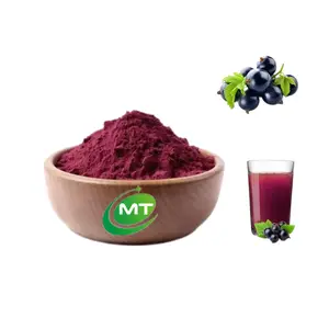 Anthocyanin Anthocyanidins Best Factory Price High Quality Anthocyanin Anthocyanidins Ribes Nigrum L. Free Sample Organic Black Currant Extract