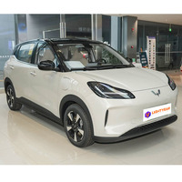 Wuling Bingo Plus, SUV compact électrique chinois, véhicule de mobilité intelligente pour la conduite urbaine et le transport familial, modèle d'exportation