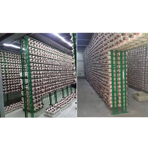 Food Grade Safe Mushroom Growing Racks Stands For Organic Mushroom Production - Product Image 2