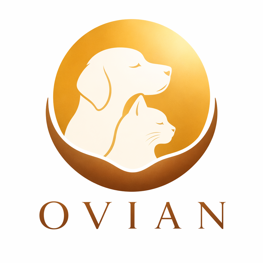 Qingdao Aoweian International Trade Co., Ltd. logo