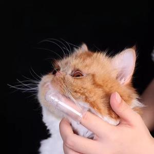 Nuevos Guantes de Silicona Suave para Dedos, Cepillo de Limpieza 360 Grados para Mascotas, Cuidado de Dientes de Perros y <span class=keywords><strong>Gatos</strong></span>, Anti <span class=keywords><strong>Mal</strong></span> <span class=keywords><strong>Aliento</strong></span> - Product Image 3