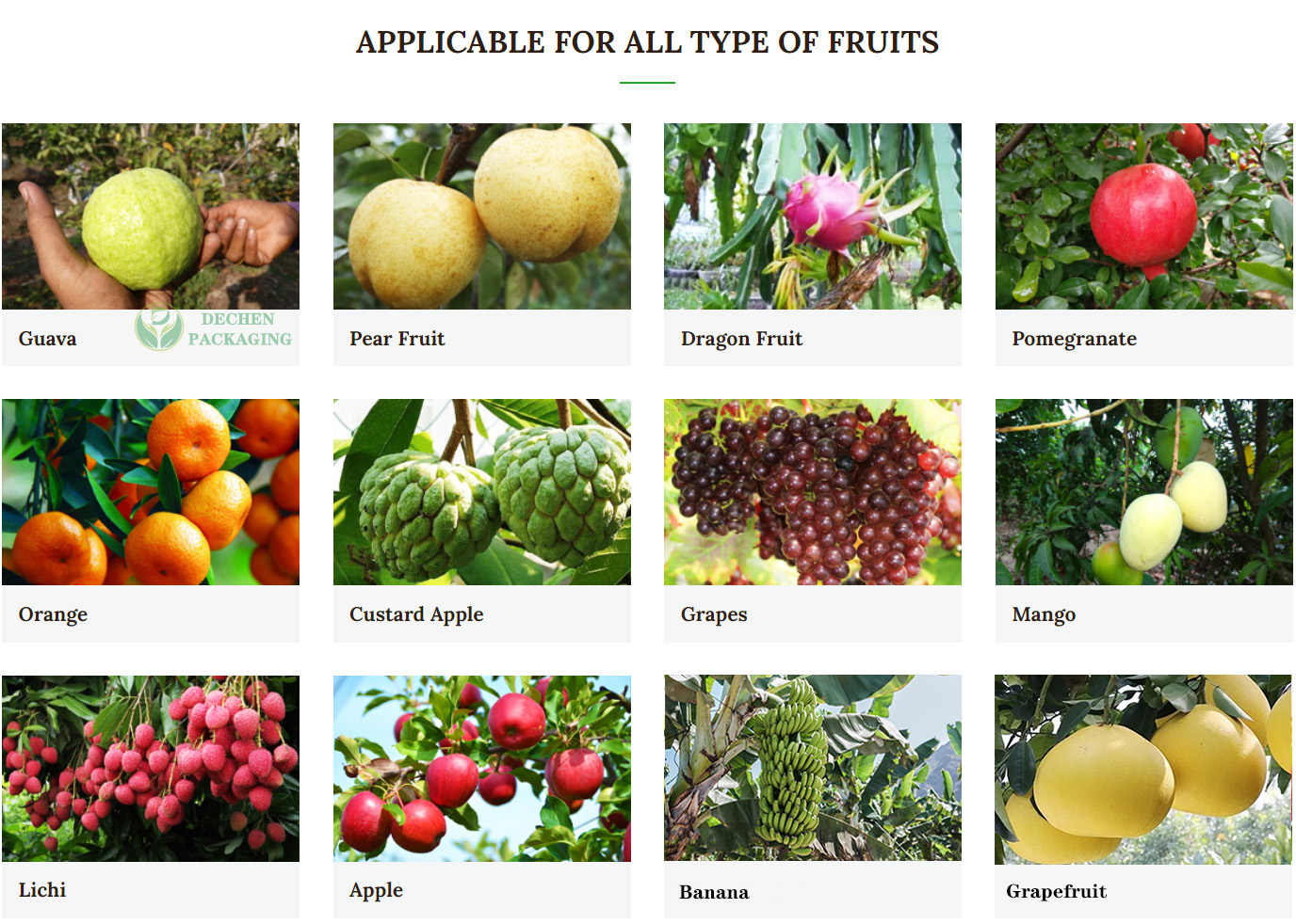 Protect Bags Kraft Fruit Growing Paper Bag For Mango