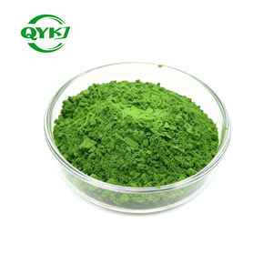 Grosir bubuk ekstrak klorella jumlah besar bubuk klorella kualitas tinggi aman untuk makanan - Product Image 3