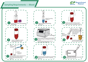Prix du thermocycleur PCR de laboratoire vétérinaire GN 7000, machine de <span class=keywords><strong>test</strong></span> <span class=keywords><strong>ADN</strong></span> pour chats et chiens - Product Image 3