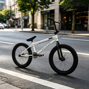 Vélo <span class=keywords><strong>BMX</strong></span> de course RAYMAX <span class=keywords><strong>20</strong></span> <span class=keywords><strong>pouces</strong></span>, cadre entièrement en chromoly, vitesse unique, frein TEKTRO U, roues en aluminium, pneus 20x2.40, moyeu 9T SAMOX - Product Image 6