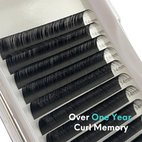 Cils individuels Volume de soie Plateaux de cils Cils naturels Noir mat Volume russe Extensions de cils