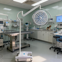 Nouvelle Lampe d'Examen Médical Électrique LED Portable 2026 pour Usage Vétérinaire et Dentaire avec Base Métallique