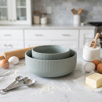 Ensemble de bols de camping en céramique et porcelaine légers, écologiques, résistants à la chaleur, de luxe classique, personnalisables en usine, vente chaude
