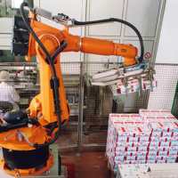 Robot de Paletización Industrial Personalizado de Alta Calidad, Robot de Recolección, Robot de Ensamblaje, Máquina de Embalaje en Bandejas