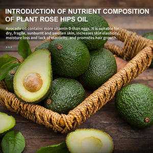 Best Price 100% Pure Organic Avocado Carrier <strong>Oil</strong> Cold Pressed 1 Kg/Gallon Bulk Massage &amp; Hair <strong>Oil</strong> - Product Image 3