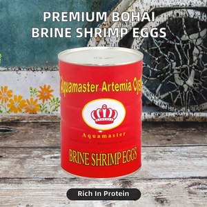 Prix de gros usine Qualité supérieure Bohai bbs Cystes d'artémia Œufs de crevettes de saumure Aliment pour poissons riche en protéines avec vitamines et minéraux - Product Image 2