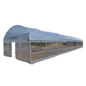 Um berçário instalado fáceis do túnel do inverno do agrícola para venda china fornecedor preço barato túnel greenhouse