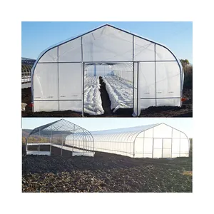 Greenhouses farming with strong greenhouse structure agricultural or commerical invernadero
