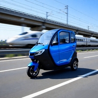 Nouveau tricycle électrique LEO E3 entièrement fermé pour les trajets quotidiens, avec moteur à moyeu arrière, 3 vitesses, 60V, trois places, 1500W