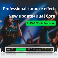 Berase K8000 Égaliseur d'effets numériques Suppression du bruit Systèmes audio professionnels pour scène de karaoké