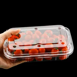 Boîte d'emballage jetable en plastique, contenant avec clapet, pour fruits et légumes, 50 pièces