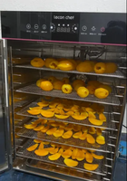Commerciële industriële Lecon 12-bakken roestvrijstalen digitale elektrische verwarmingsdroger 1000W voor fruit en huisdierenvoer