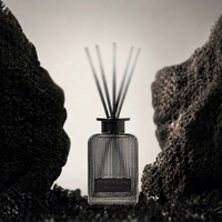 Diffuseur de parfum sans flamme haut de gamme, élégant et luxueux, pour chambre et salle de bain, avec boîte cadeau décorative, parfum longue durée