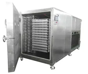 Peralatan pengering freezer temperatur rendah pengering pembekuan vakum Durian