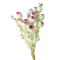 Konservierte Blumen Zweifarbige Farbverlauf-Rosen mit 50-60cm Stiel zur Dekoration