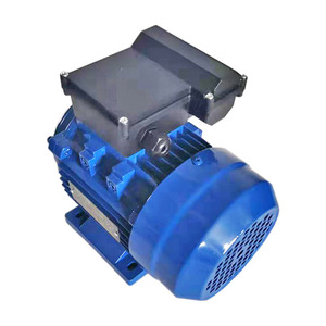 Moteur électrique 10hp, moteur à induction électrique monophasé <span class=keywords><strong>MY</strong></span> series personnalisé - Product Image 1